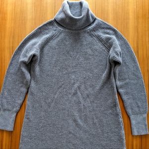 Wilfred (Aritzia) Merino Wool Sweater Dress